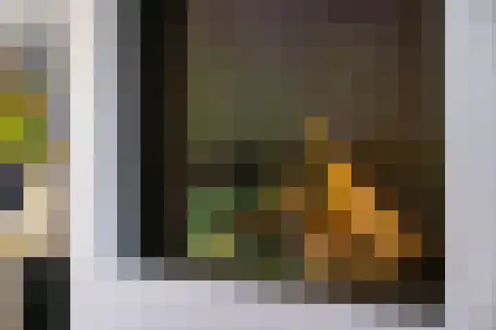 Josef Israëlslaan 116 Arnhem thumbnail 4