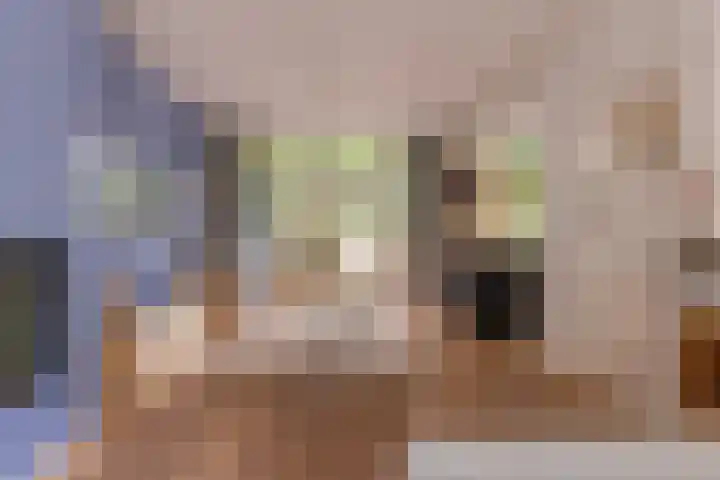 Josef Israëlslaan 116 Arnhem thumbnail 5