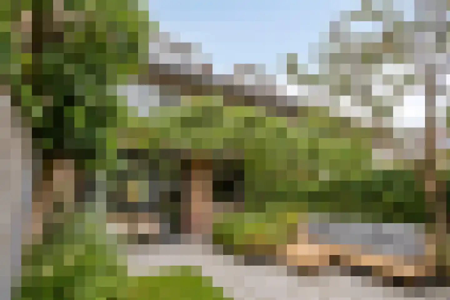 Josef Israëlslaan 155 Arnhem thumbnail 11