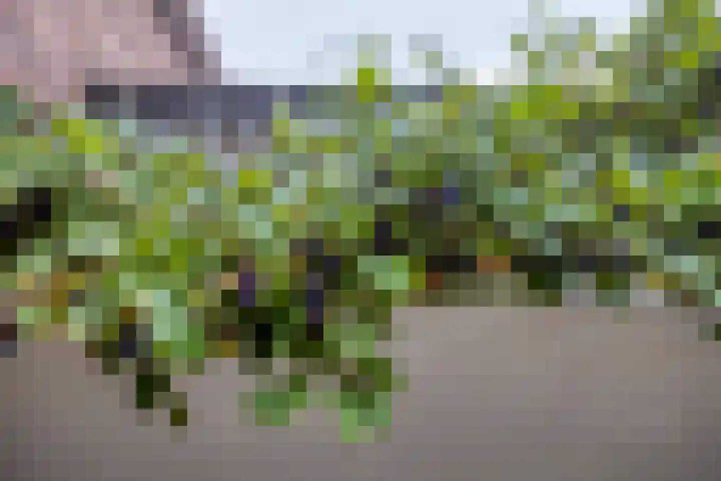 Josef Israëlslaan 155 Arnhem thumbnail 19