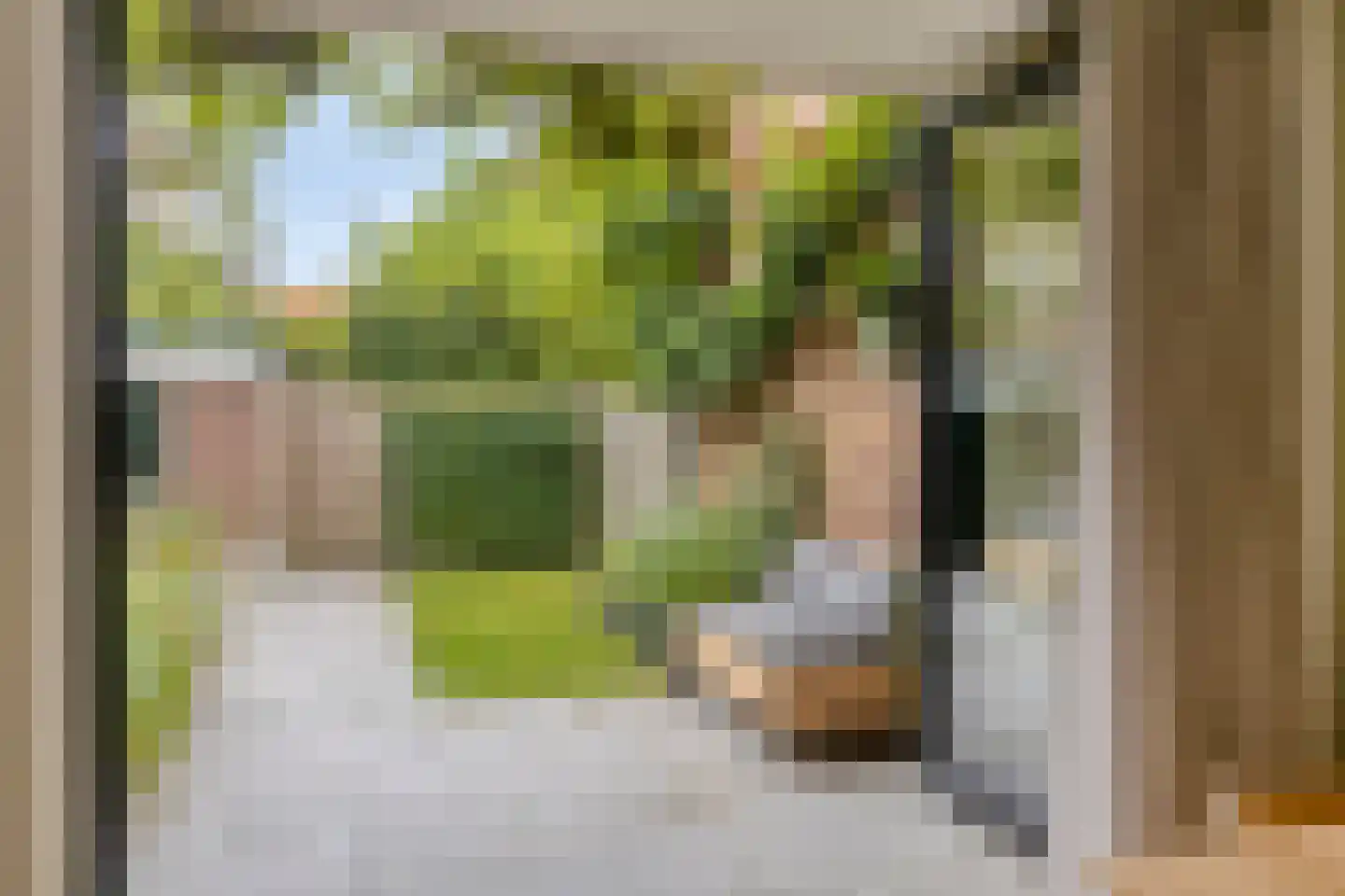 Josef Israëlslaan 155 Arnhem thumbnail 7