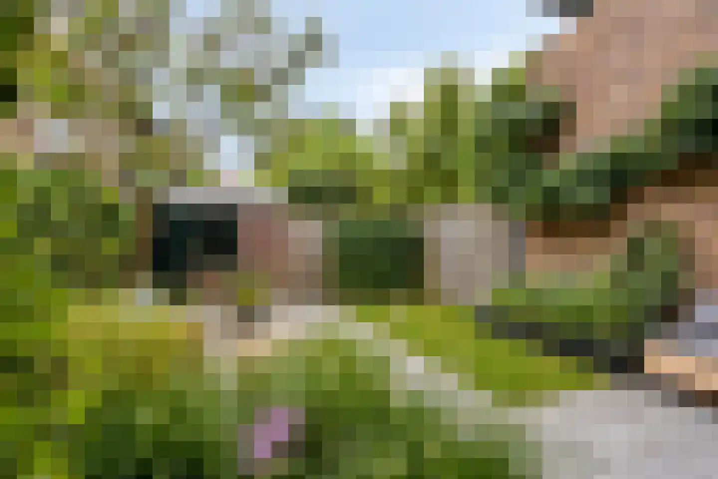 Josef Israëlslaan 155 Arnhem thumbnail 9