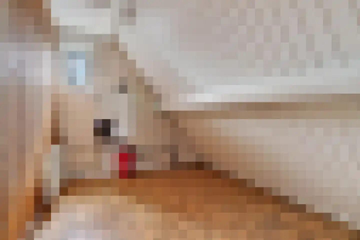 Josef Israëlslaan 16 Arnhem thumbnail 26
