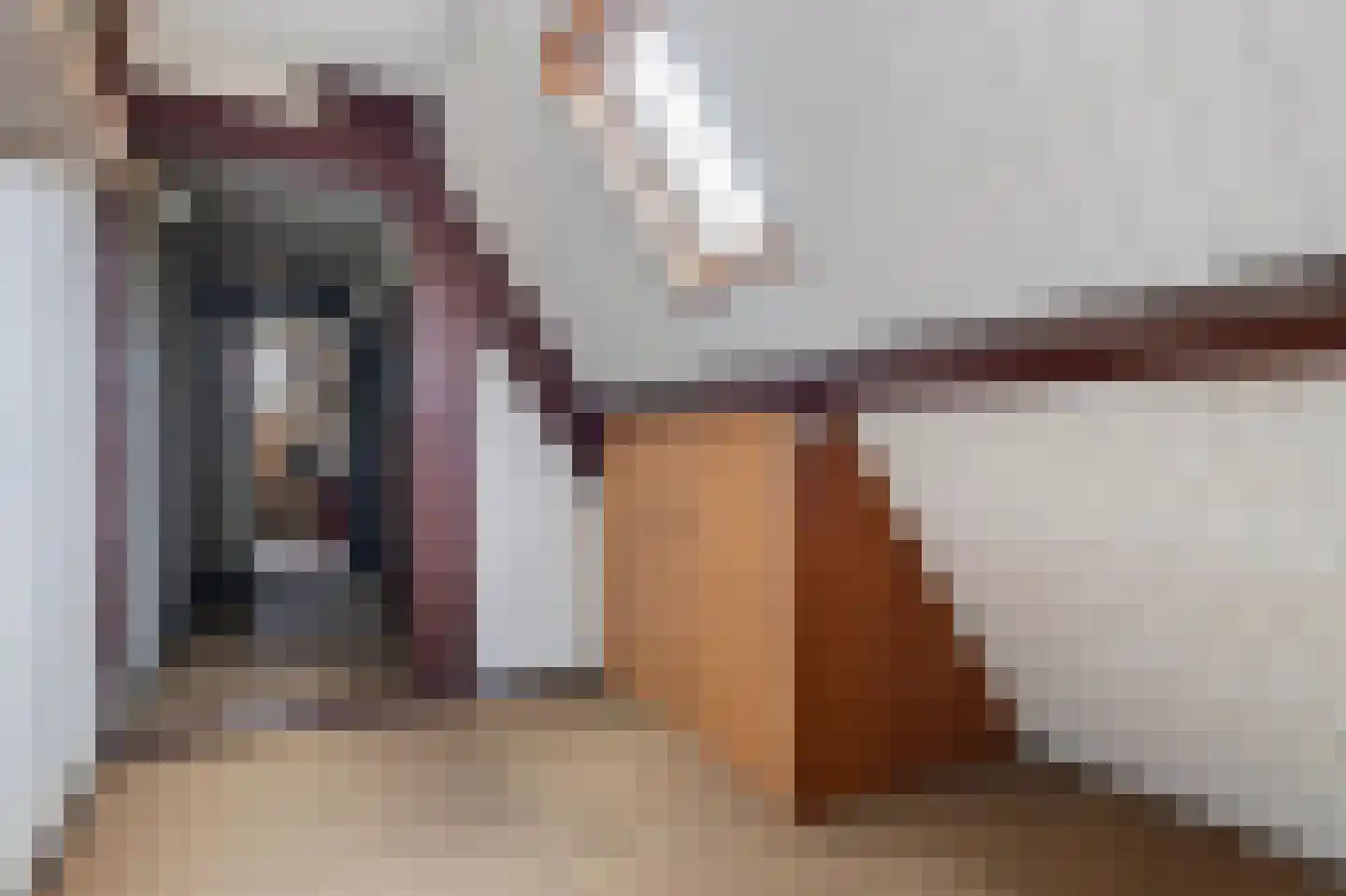 Josef Israëlslaan 16 Arnhem thumbnail 28