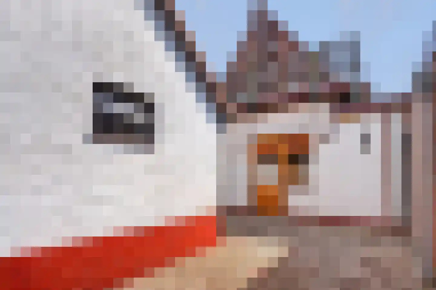 Josef Israëlslaan 16 Arnhem thumbnail 30
