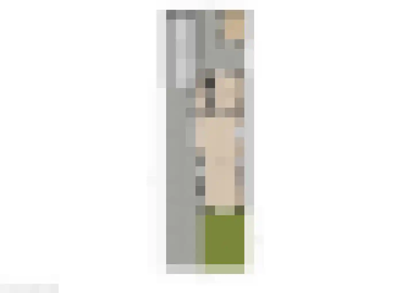 Josef Israëlslaan 16 Arnhem thumbnail 38