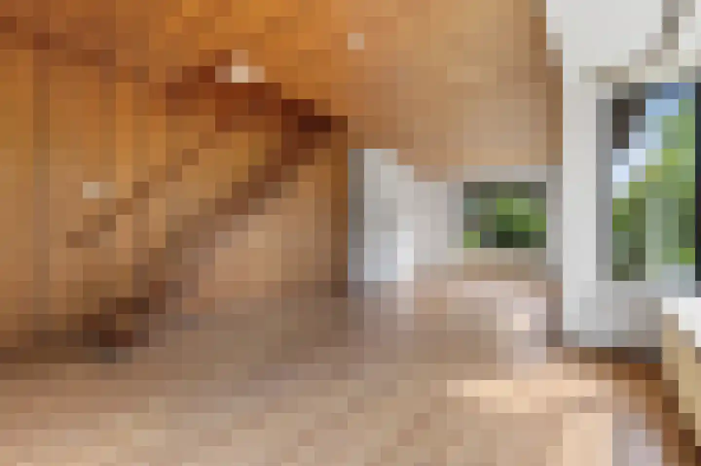 Josef Israëlslaan 16 Arnhem thumbnail 4