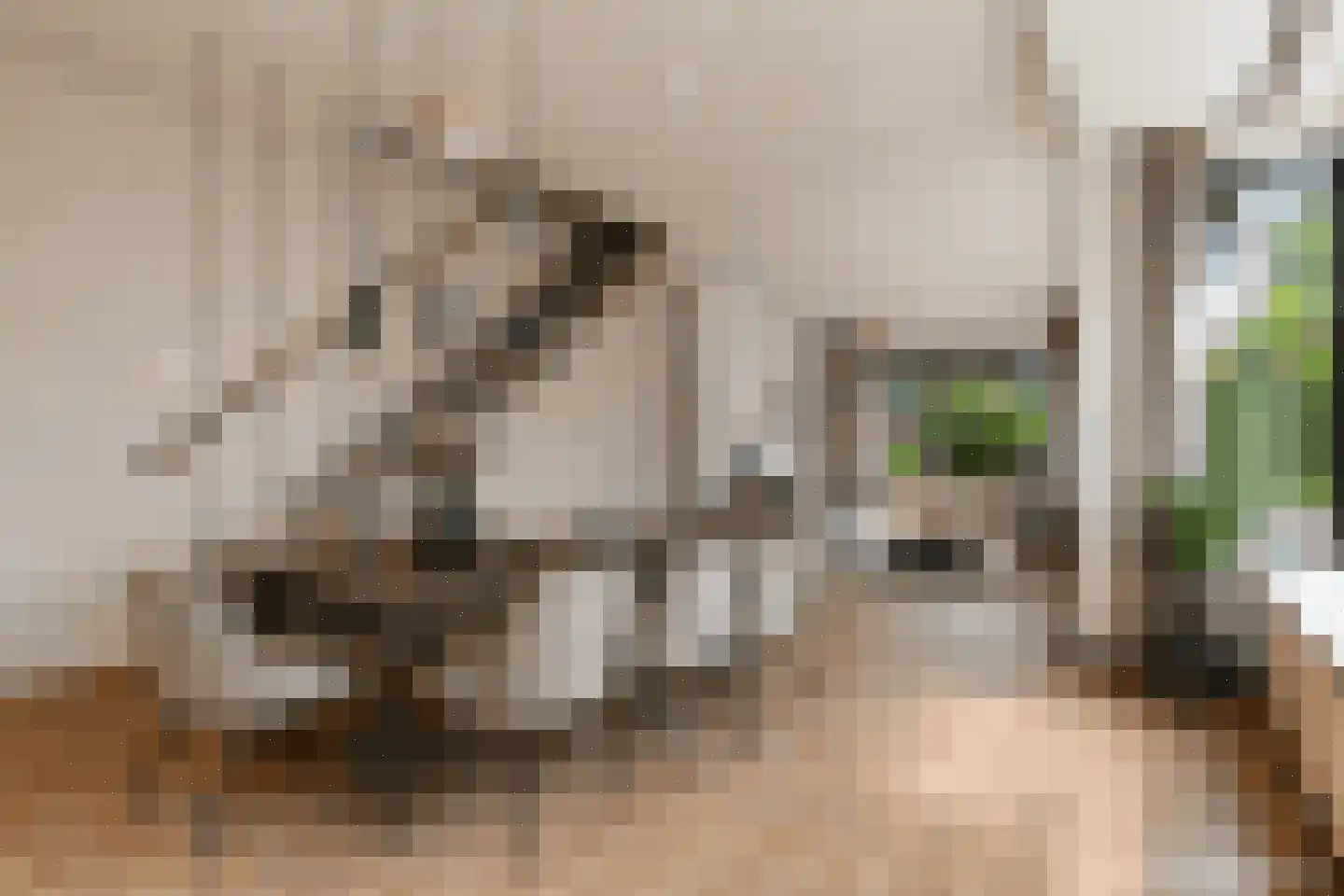 Josef Israëlslaan 16 Arnhem thumbnail 5