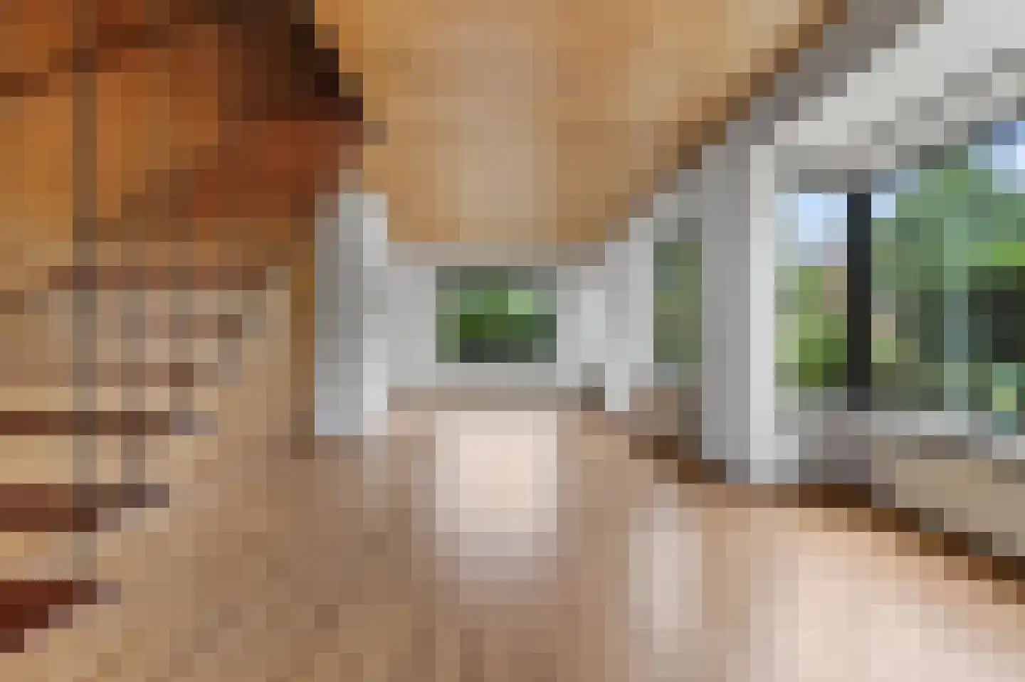 Josef Israëlslaan 16 Arnhem thumbnail 6