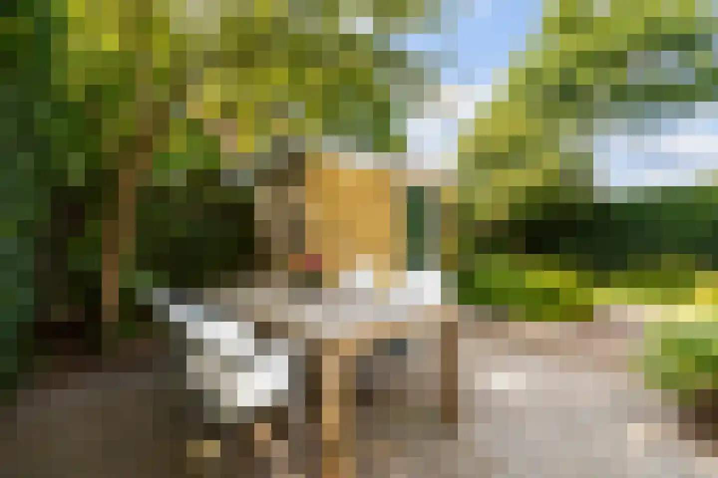 Josef Israëlslaan 45 Arnhem thumbnail 19
