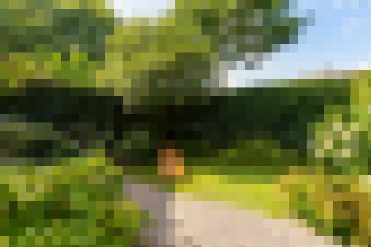 Josef Israëlslaan 45 Arnhem thumbnail 20