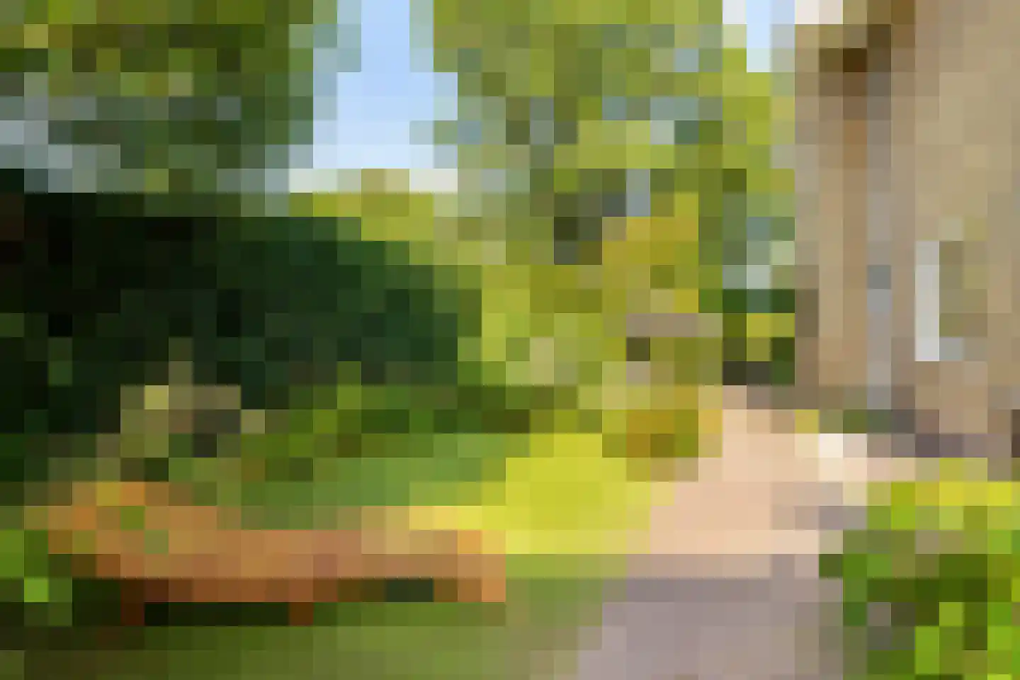 Josef Israëlslaan 45 Arnhem thumbnail 22