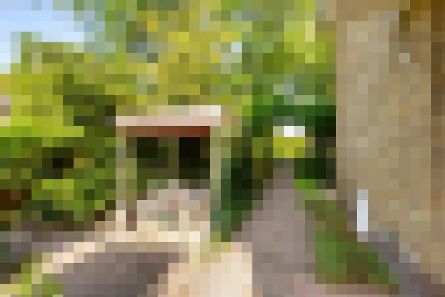Josef Israëlslaan 45 Arnhem thumbnail 23