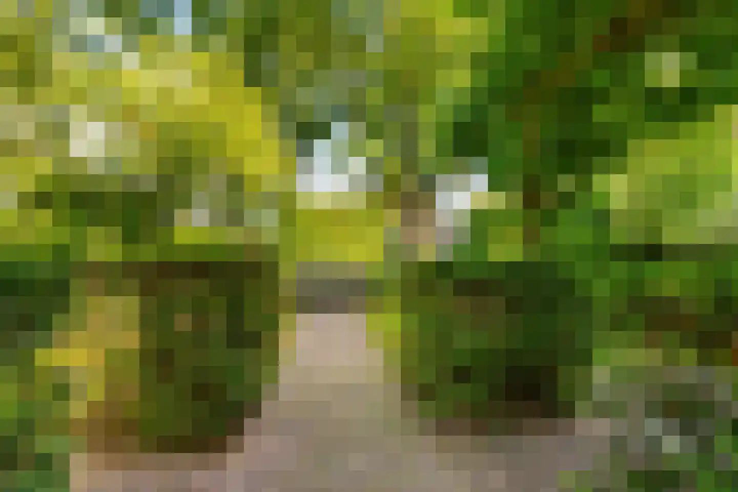 Josef Israëlslaan 45 Arnhem thumbnail 24