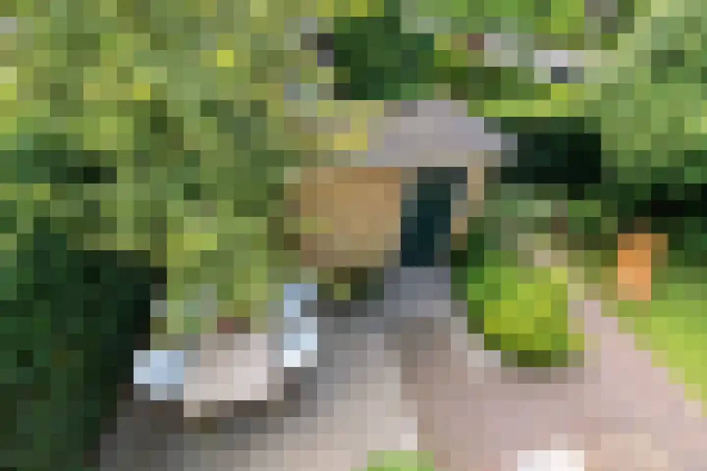 Josef Israëlslaan 45 Arnhem thumbnail 30