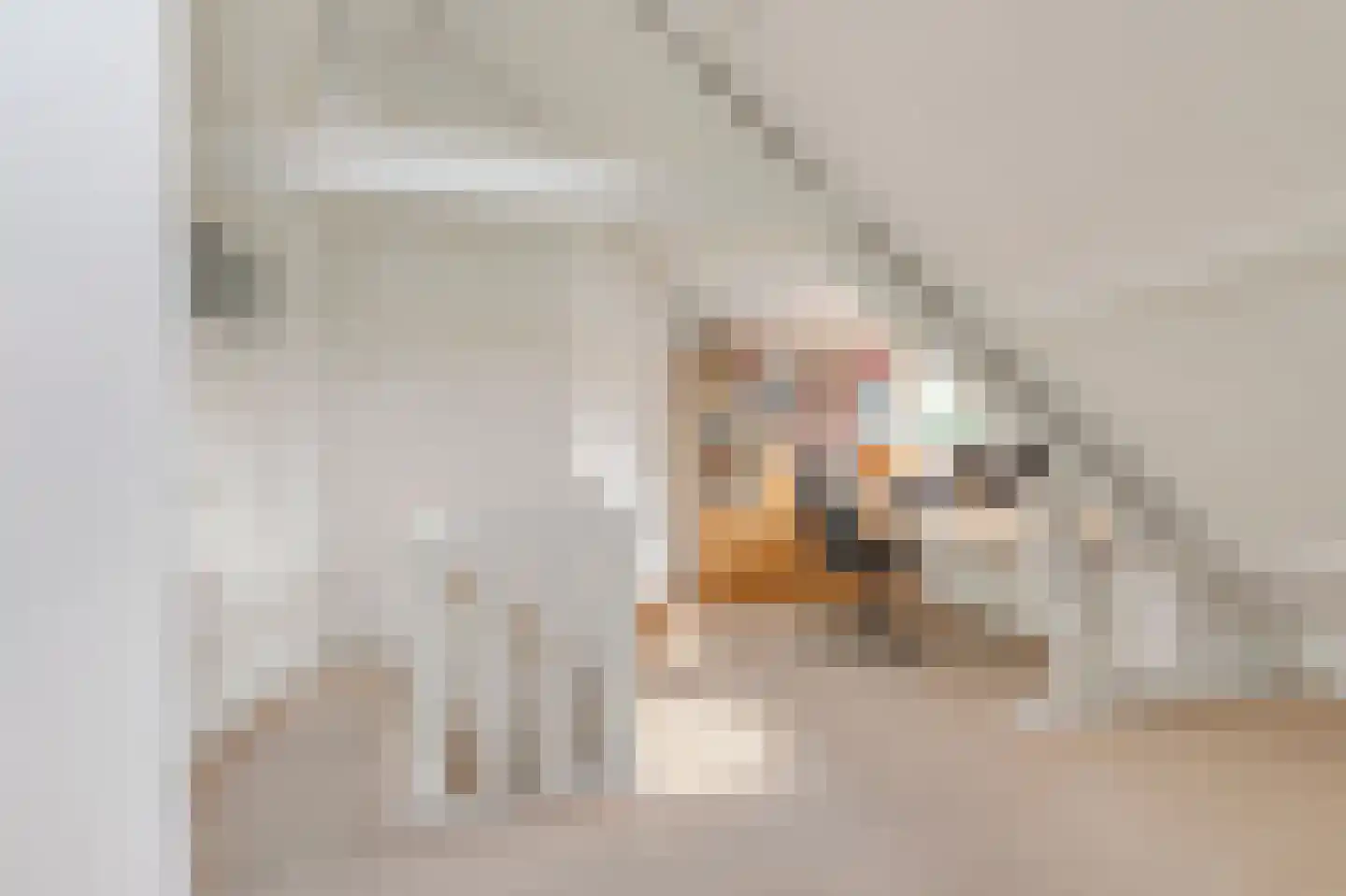 Josef Israëlslaan 45 Arnhem thumbnail 39