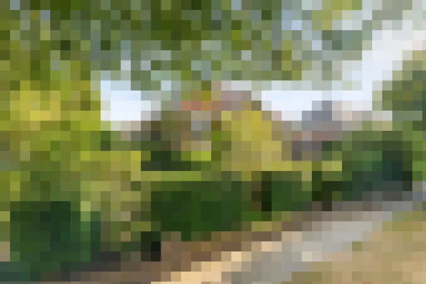 Josef Israëlslaan 45 Arnhem thumbnail 46