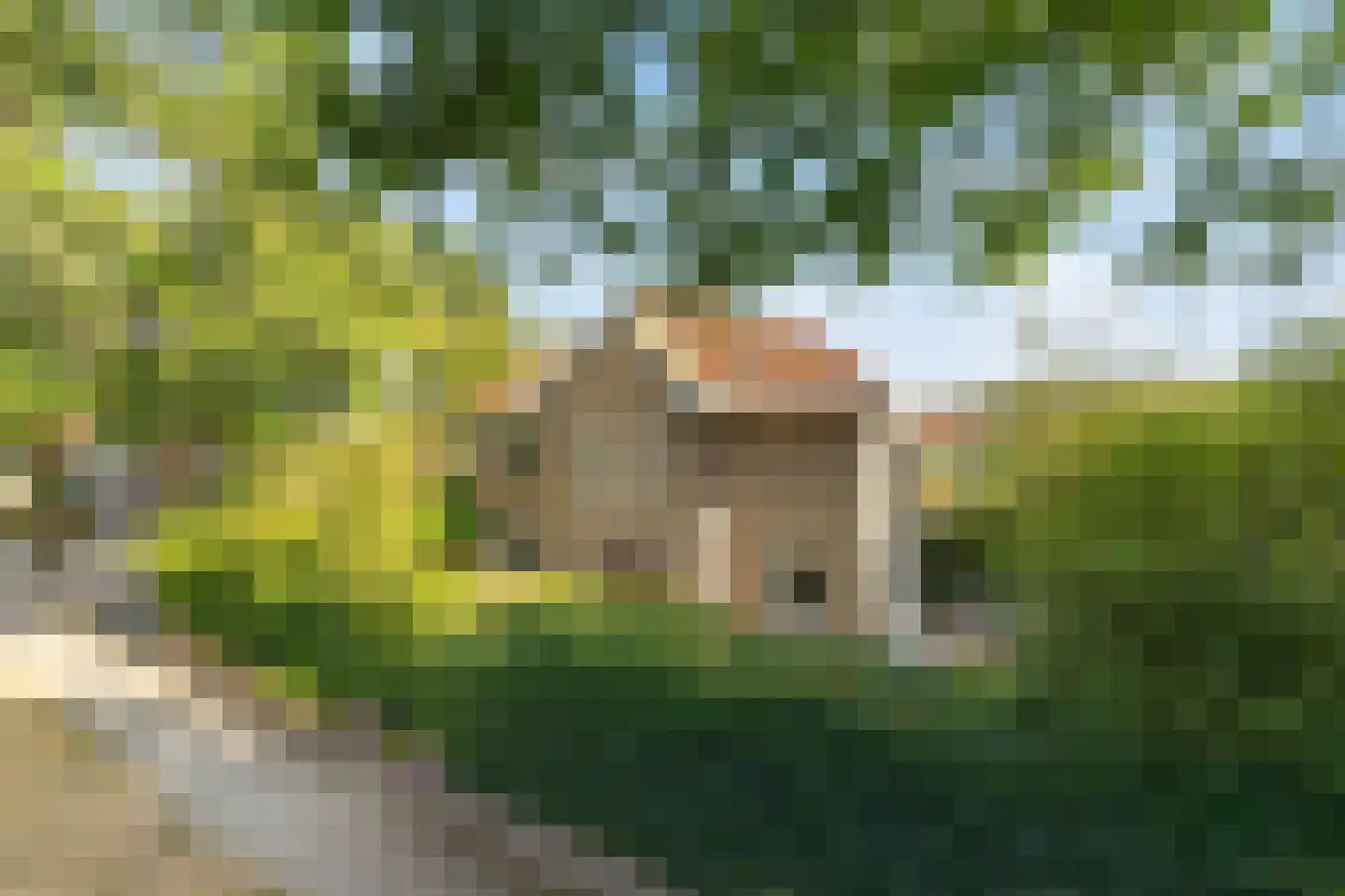 Josef Israëlslaan 45 Arnhem thumbnail 47