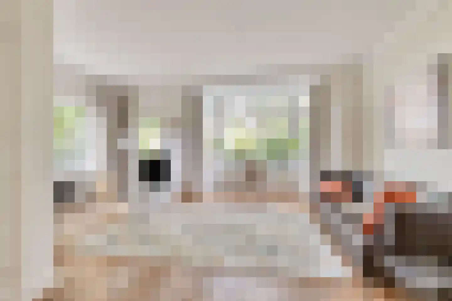 Josef Israëlslaan 45 Arnhem thumbnail 8