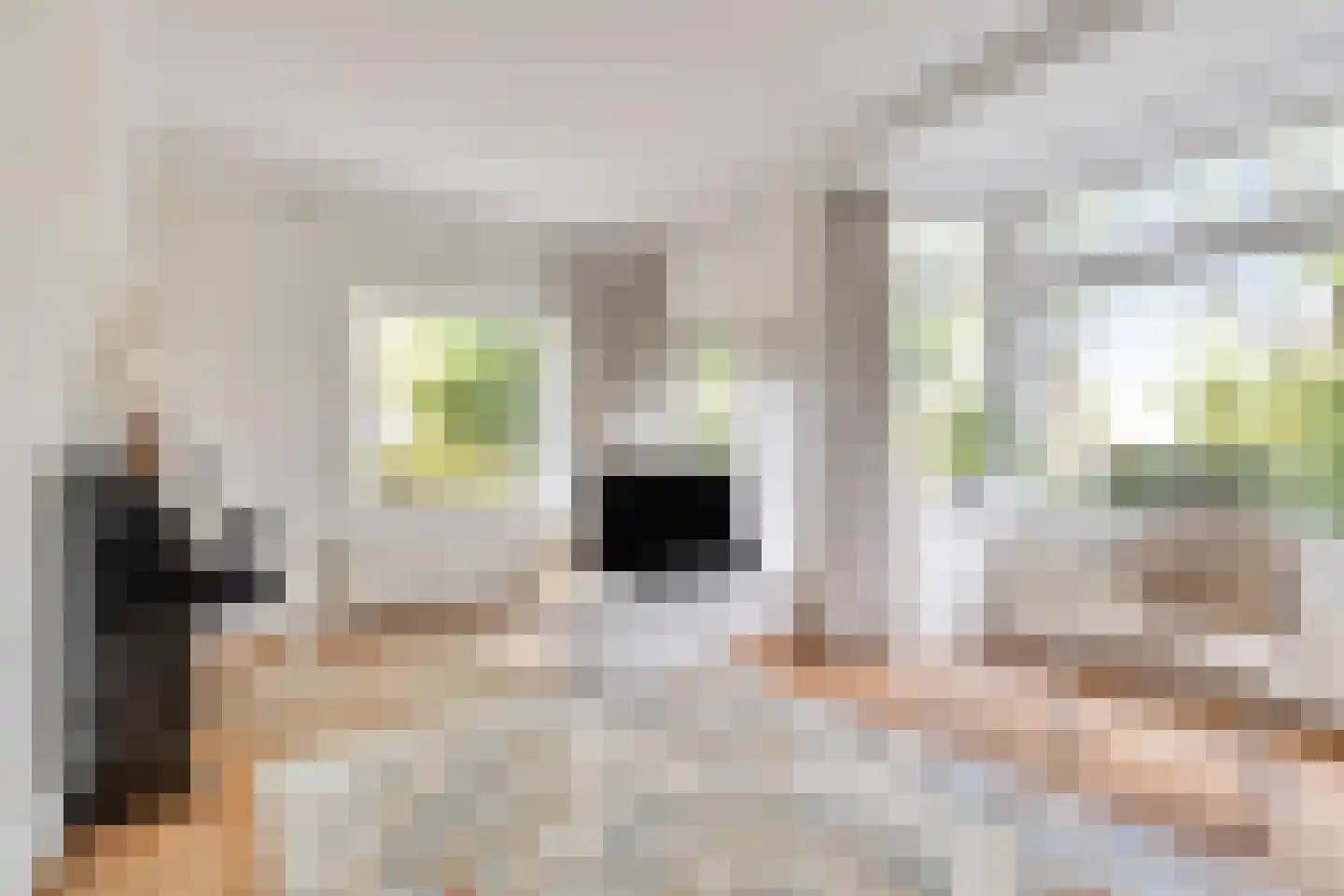 Josef Israëlslaan 45 Arnhem thumbnail 9