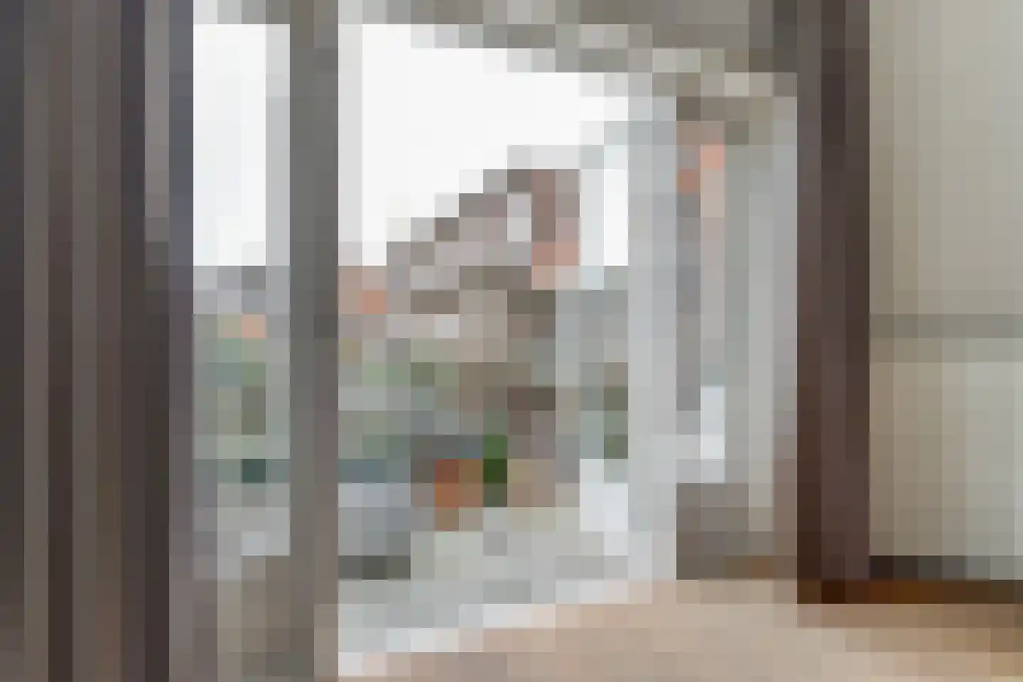 Josef Israëlslaan 60 Arnhem thumbnail 18