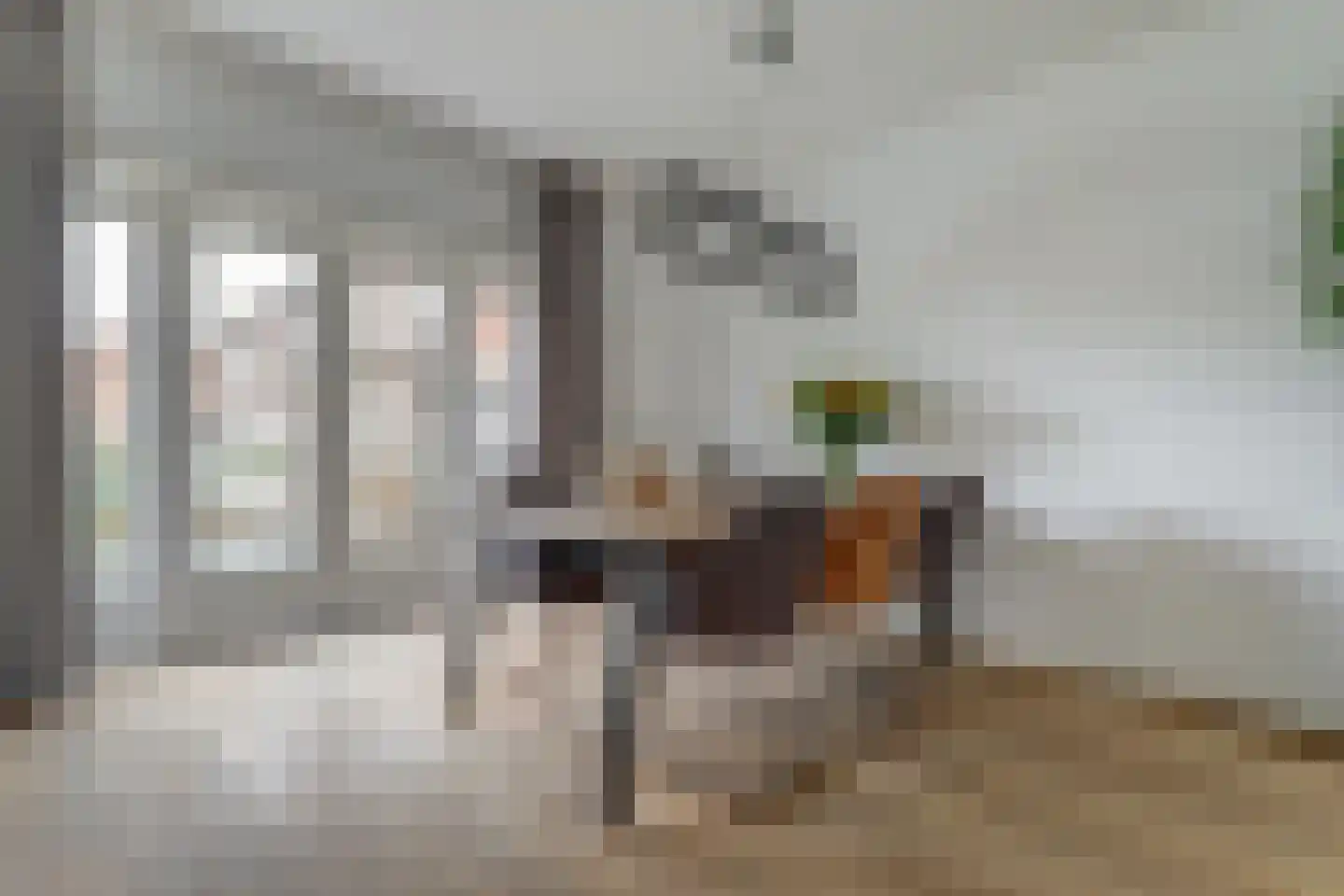 Josef Israëlslaan 60 Arnhem thumbnail 22