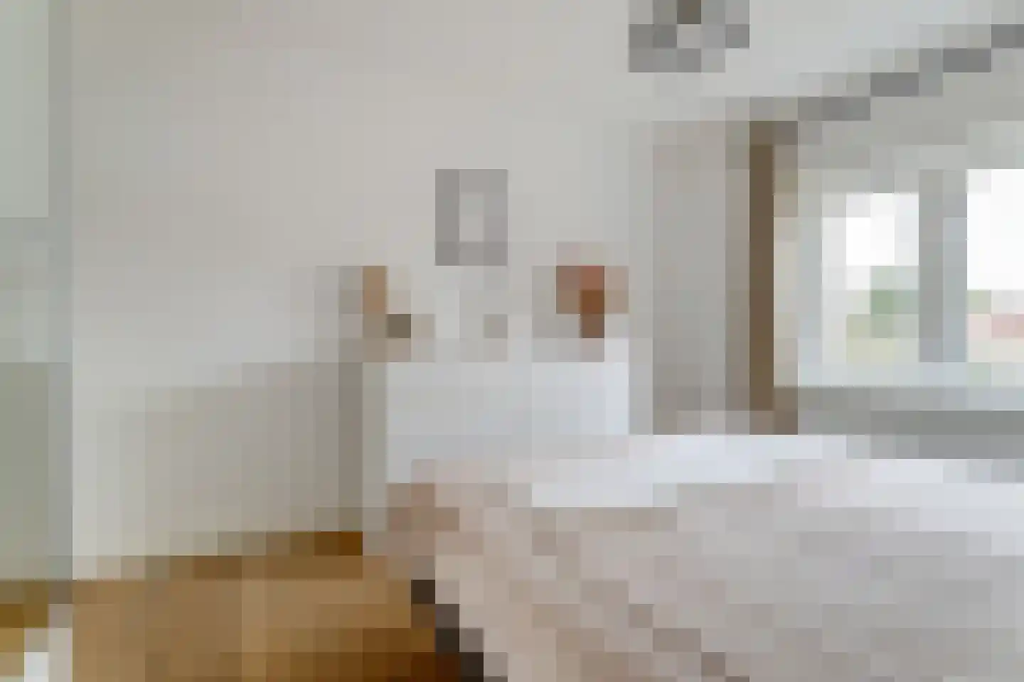 Josef Israëlslaan 60 Arnhem thumbnail 39