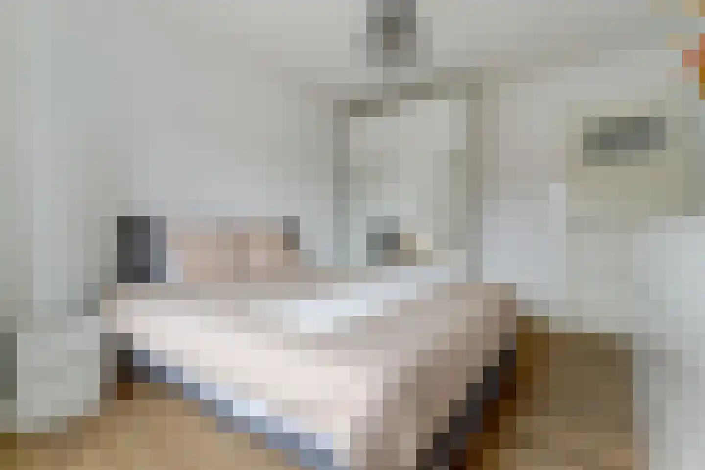 Josef Israëlslaan 60 Arnhem thumbnail 40