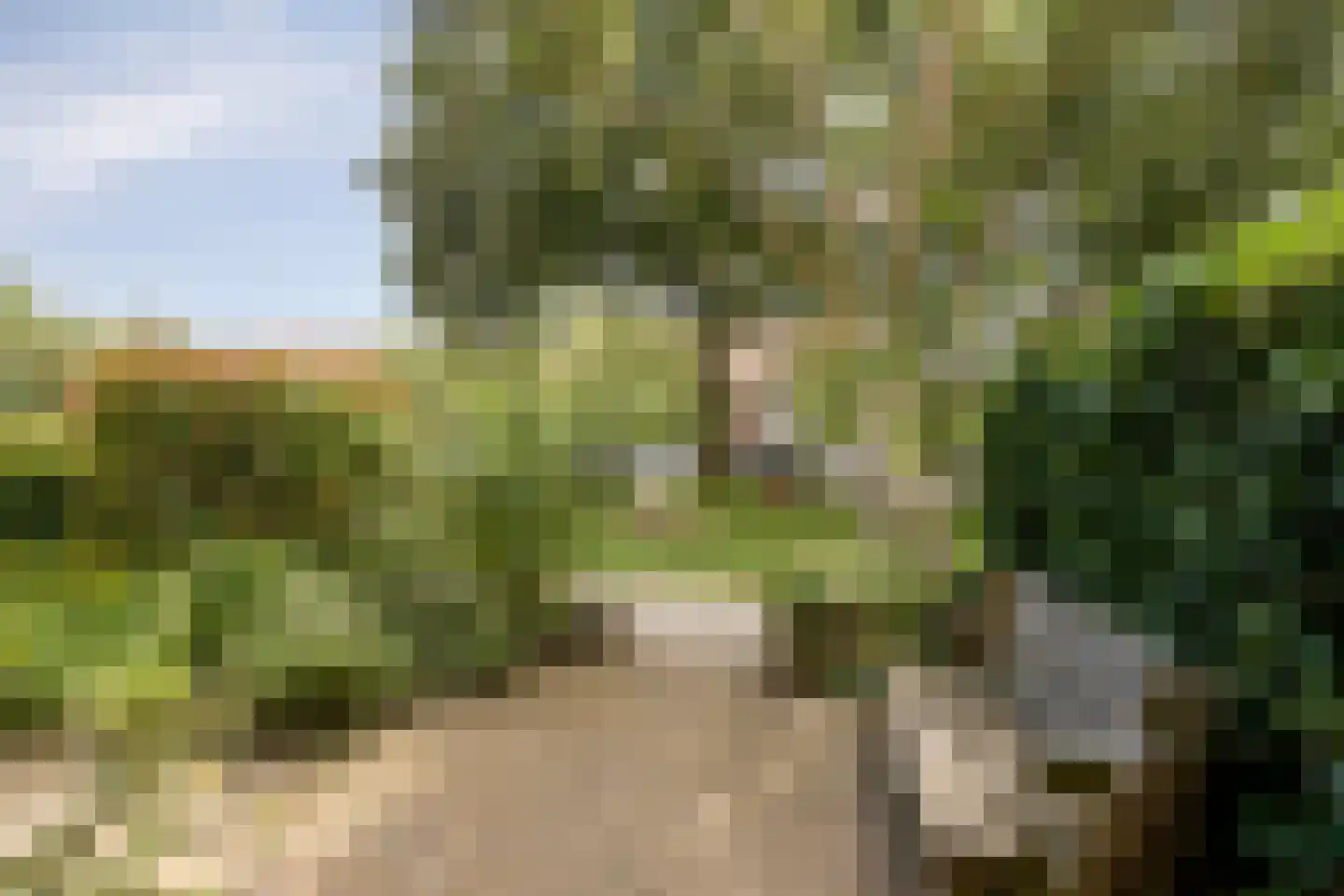 Josef Israëlslaan 92 Arnhem thumbnail 31