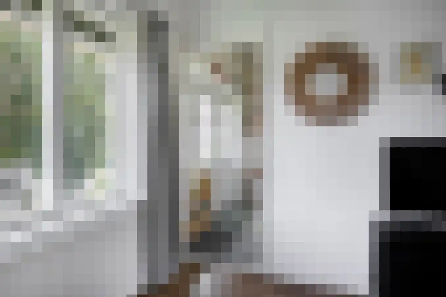 Josef Israëlslaan 92 Arnhem thumbnail 7