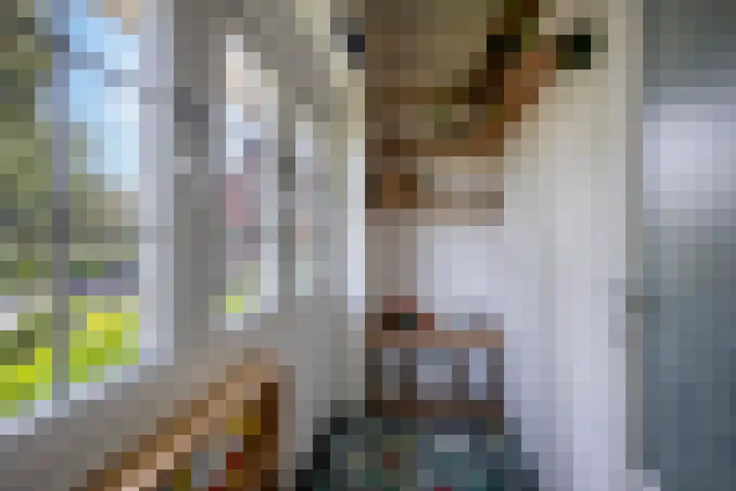 Josef Israëlslaan 92 Arnhem thumbnail 8