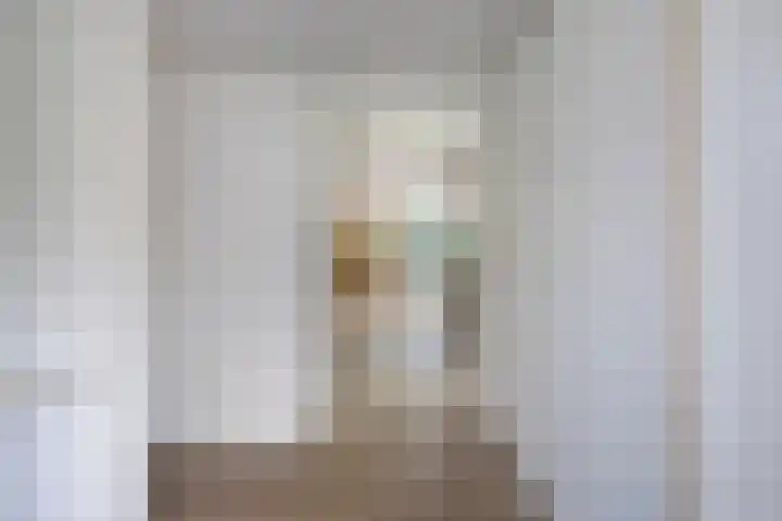 Joseph Bech-Nes 14 Bergen (NH) thumbnail 12