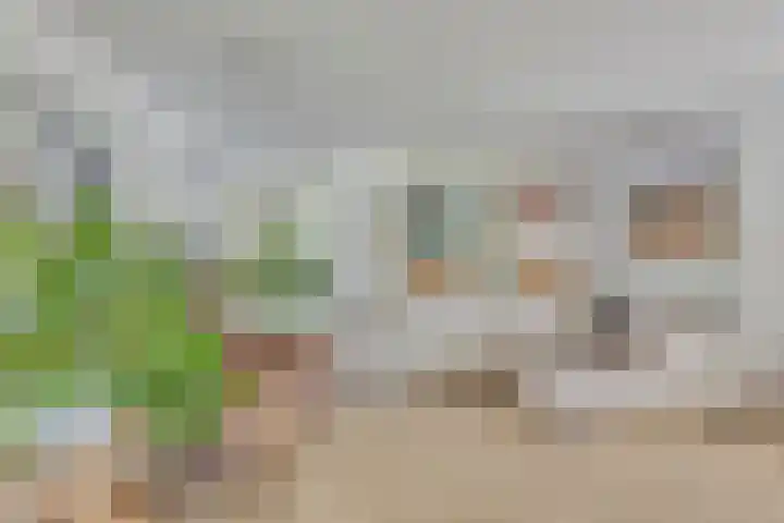 Joseph Bech-Nes 14 Bergen (NH) thumbnail 14