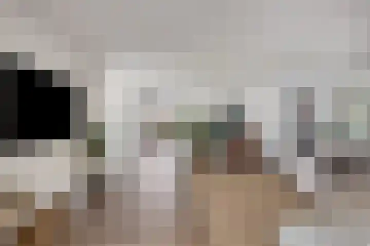 Joseph Bech-Nes 14 Bergen (NH) thumbnail 15