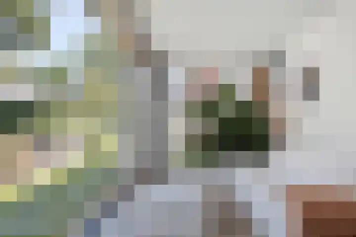 Joseph Bech-Nes 14 Bergen (NH) thumbnail 17