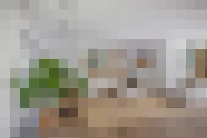 Joseph Bech-Nes 14 Bergen (NH) thumbnail 19