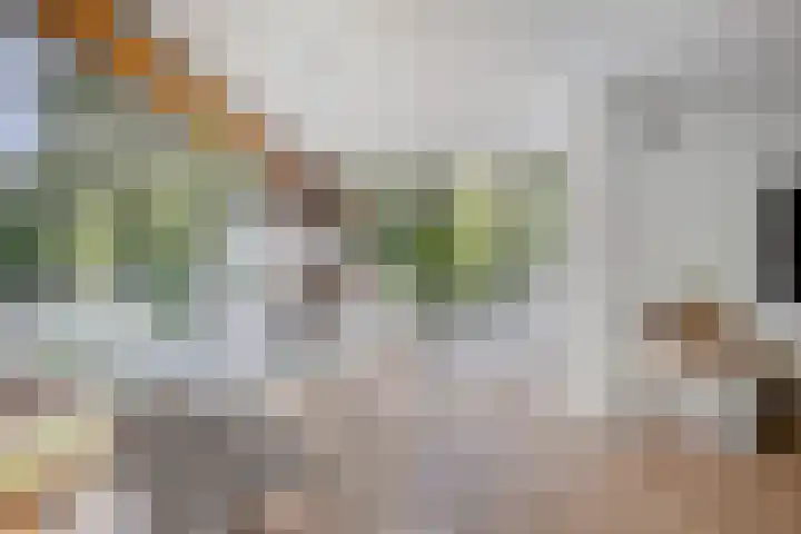 Joseph Bech-Nes 14 Bergen (NH) thumbnail 20