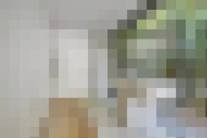 Joseph Bech-Nes 14 Bergen (NH) thumbnail 26