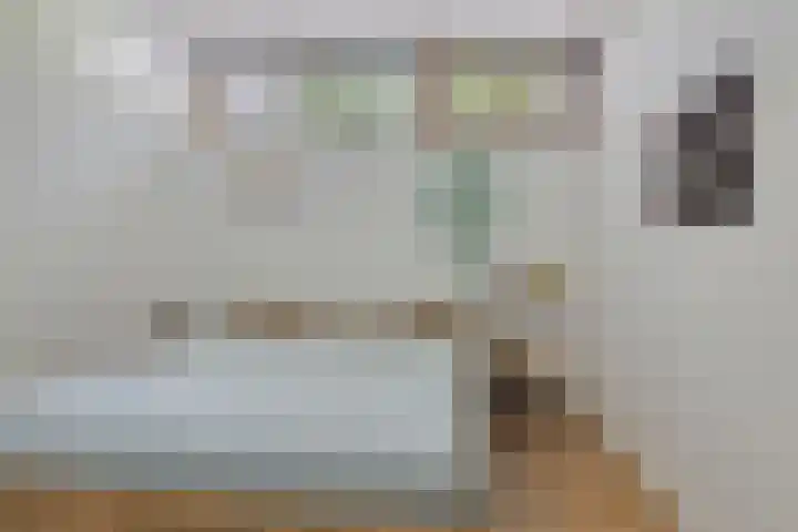 Joseph Bech-Nes 14 Bergen (NH) thumbnail 29