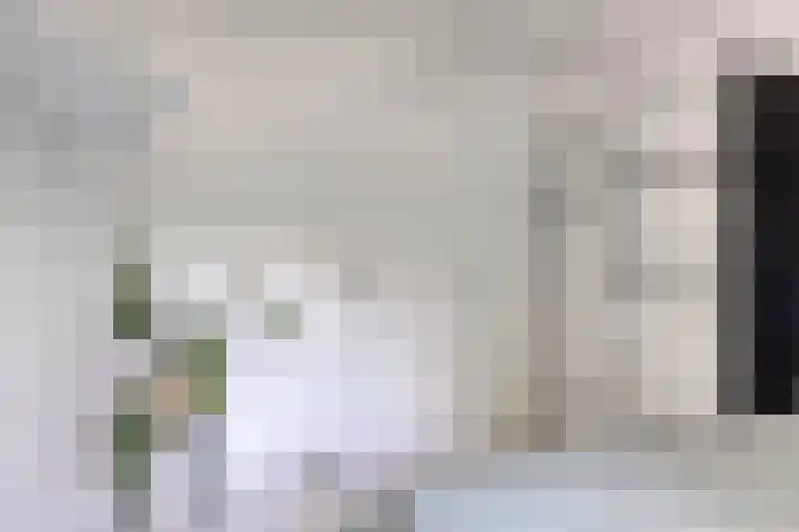 Joseph Bech-Nes 14 Bergen (NH) thumbnail 39
