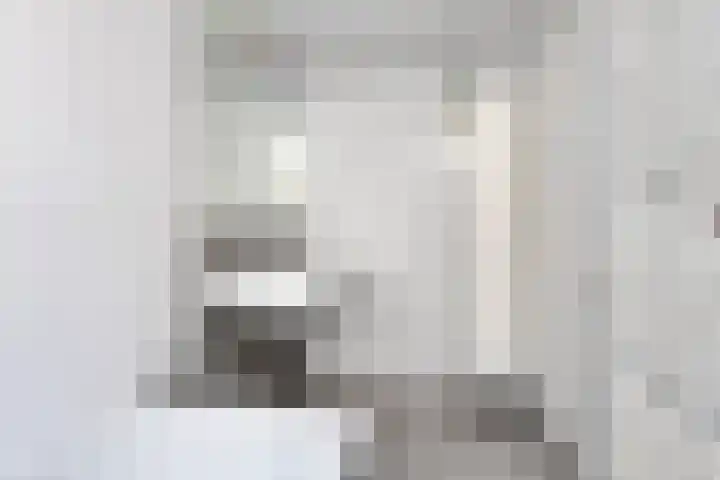 Joseph Bech-Nes 14 Bergen (NH) thumbnail 46