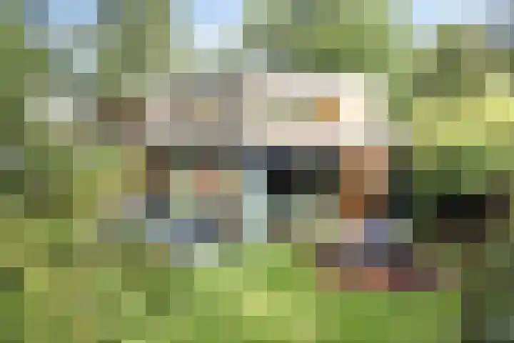Joseph Bech-Nes 14 Bergen (NH) thumbnail 49