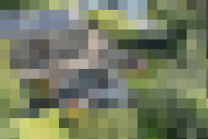 Joseph Bech-Nes 14 Bergen (NH) thumbnail 50