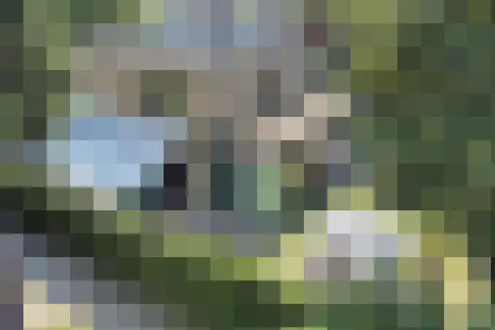 Joseph Bech-Nes 14 Bergen (NH) thumbnail 52