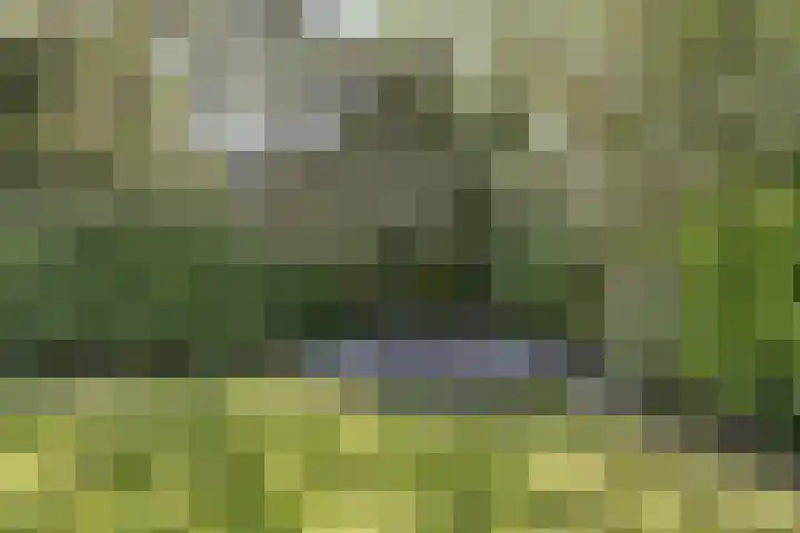 Joseph Bech-Nes 14 Bergen (NH) thumbnail 53
