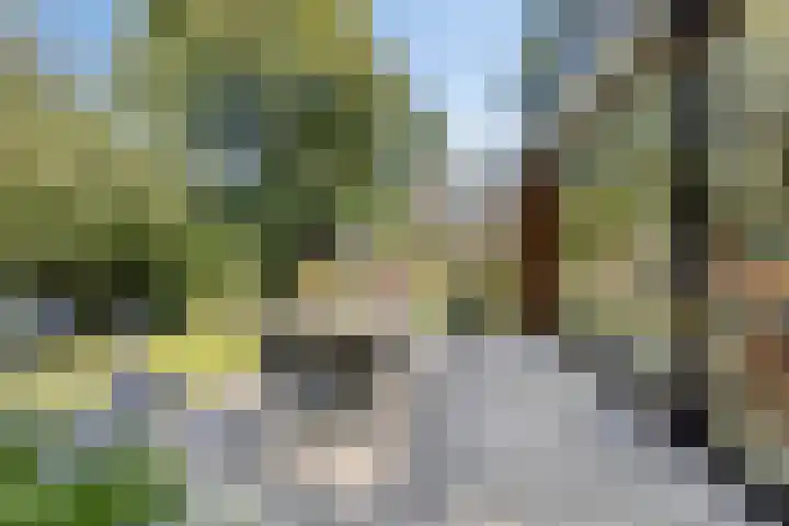 Joseph Bech-Nes 14 Bergen (NH) thumbnail 54