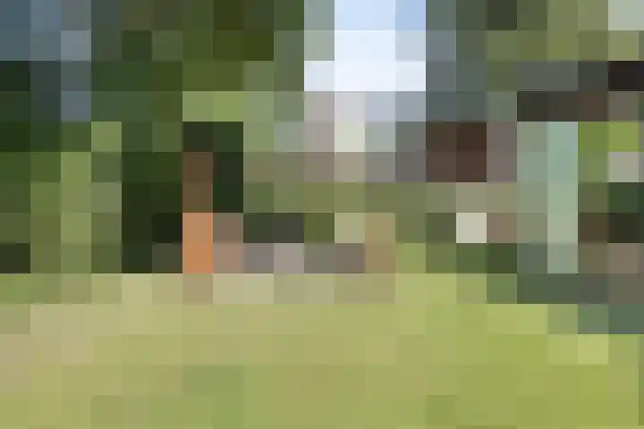 Joseph Bech-Nes 14 Bergen (NH) thumbnail 55