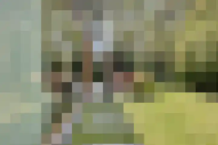 Joseph Bech-Nes 14 Bergen (NH) thumbnail 56