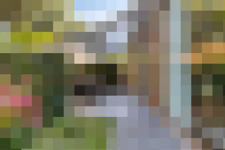 Joseph Bech-Nes 14 Bergen (NH) thumbnail 57
