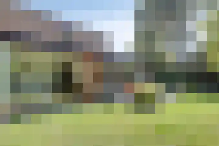 Joseph Bech-Nes 14 Bergen (NH) thumbnail 58